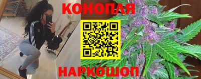 прущие грибы Славянск-на-Кубани