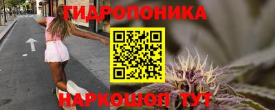 прущие грибы Славянск-на-Кубани